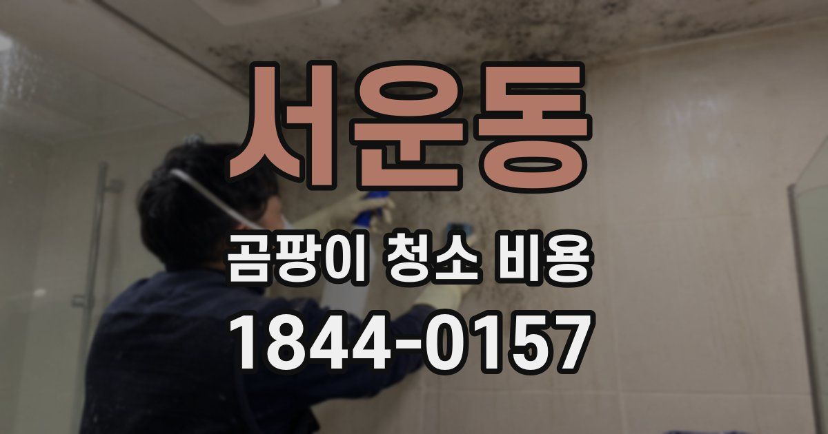 서운동 곰팡이 청소 비용