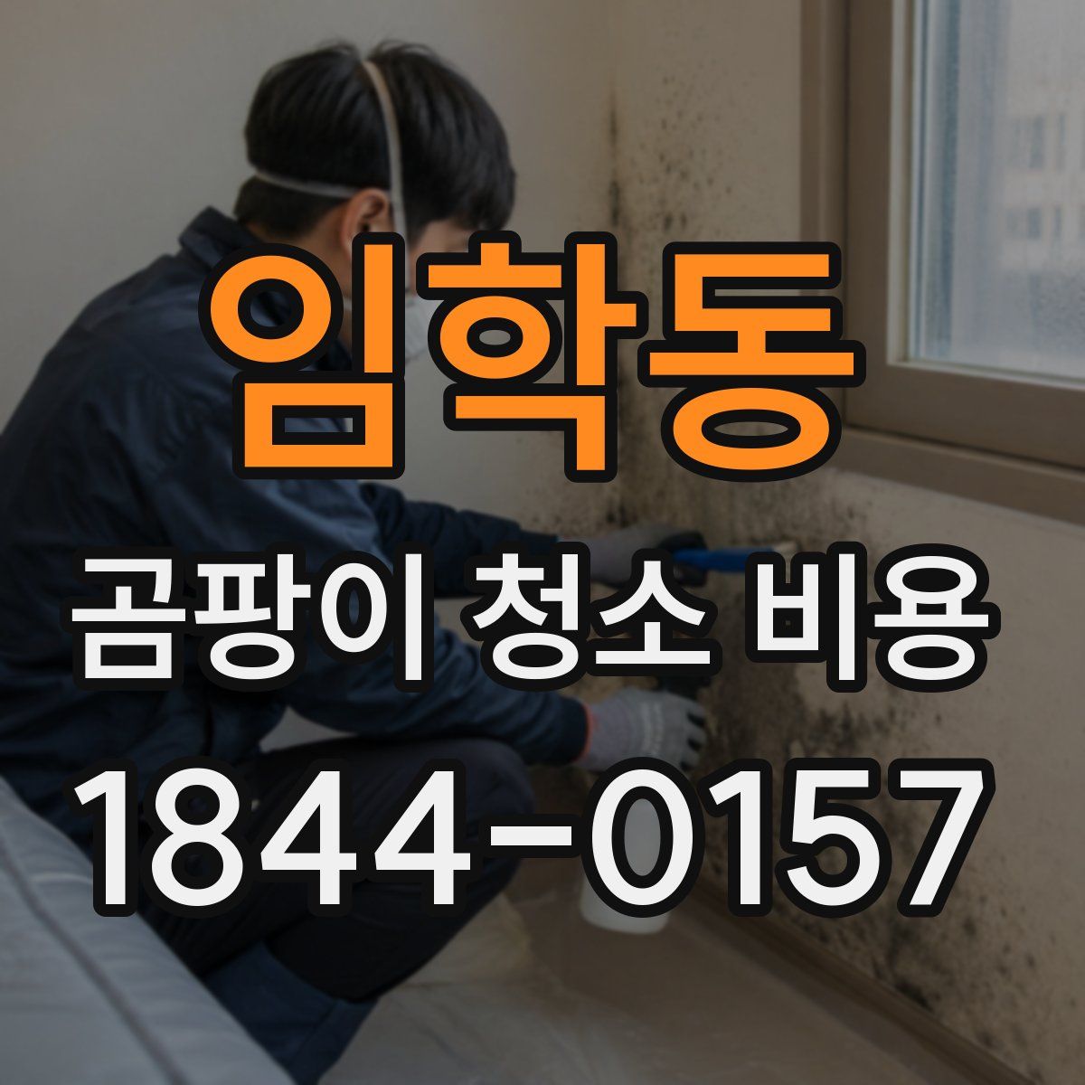 임학동 곰팡이 청소 비용