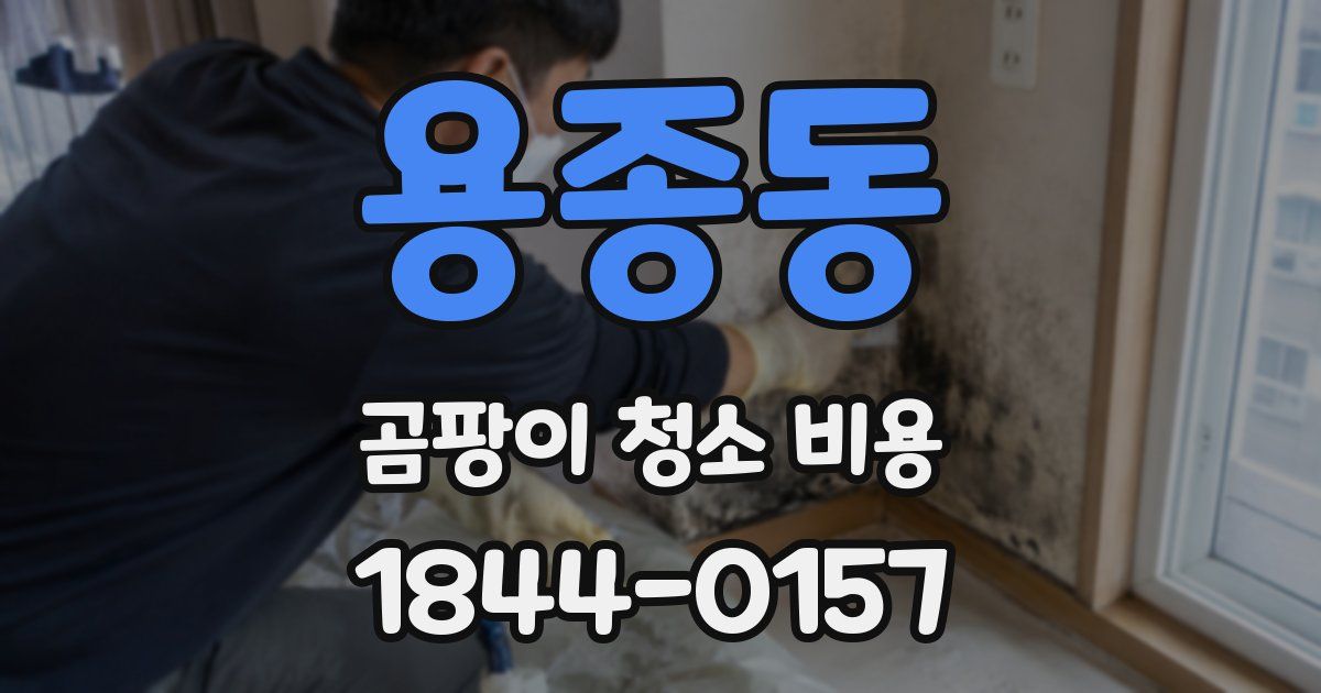 용종동 곰팡이 청소 비용