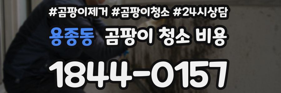 용종동 곰팡이 청소 비용