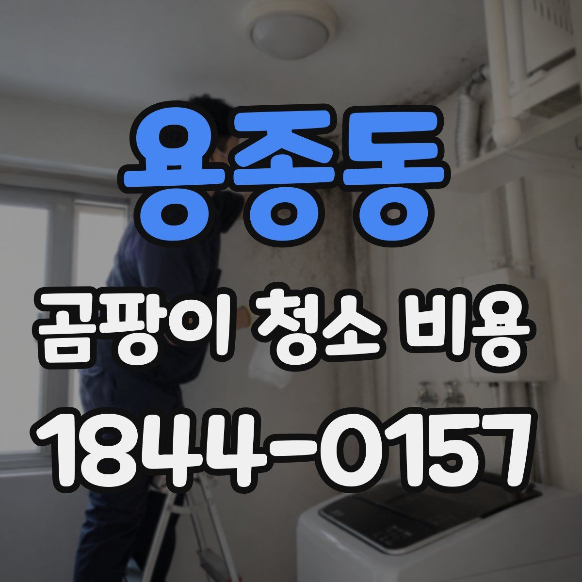 용종동 곰팡이 청소 비용