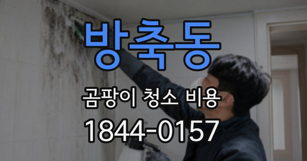 방축동 곰팡이 청소 비용