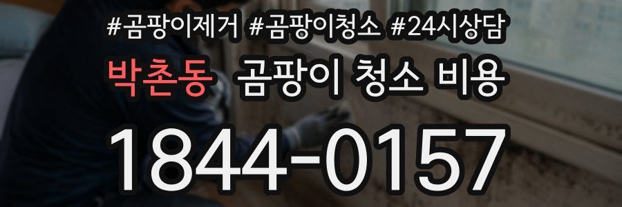 박촌동 곰팡이 청소 비용