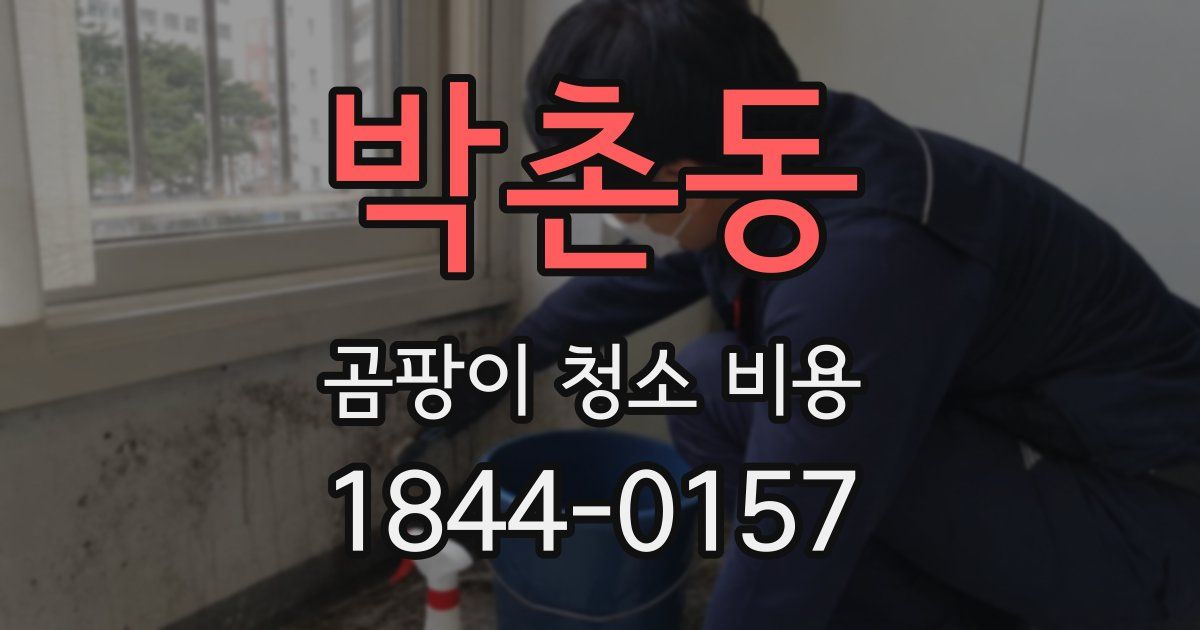박촌동 곰팡이 청소 비용