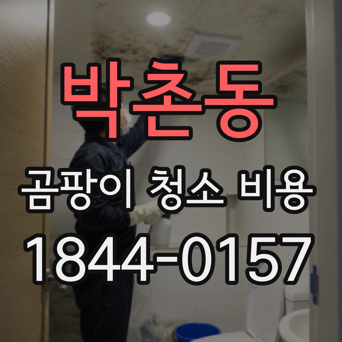 박촌동 곰팡이 청소 비용