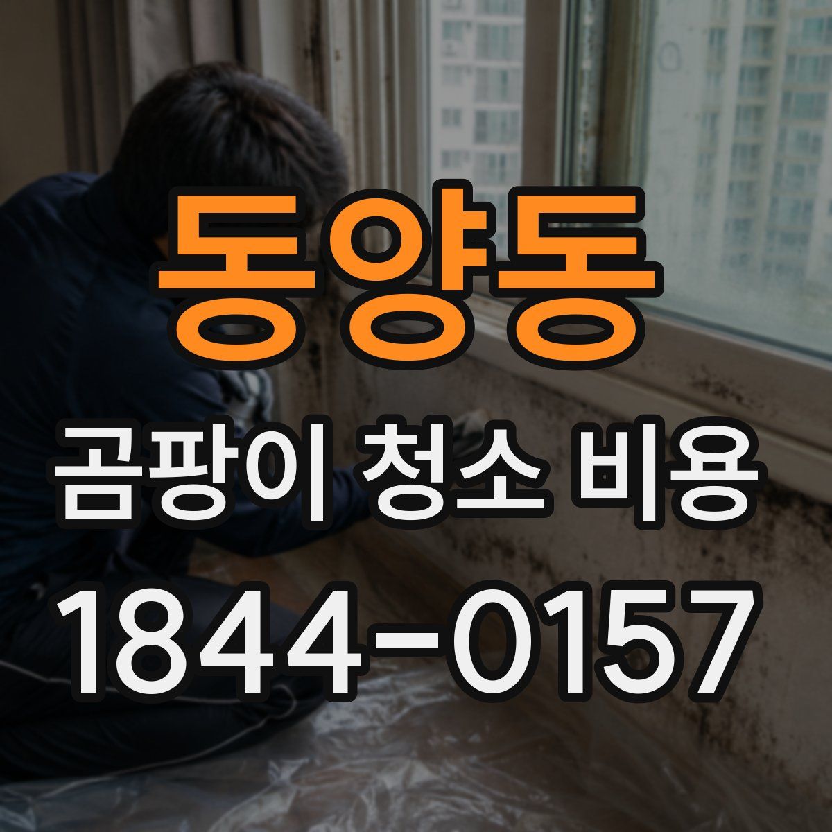 동양동 곰팡이 청소 비용