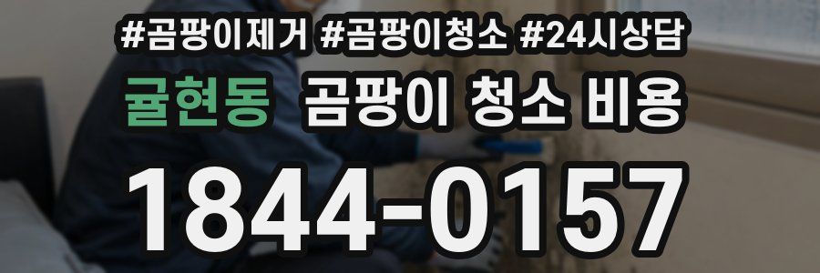 귤현동 곰팡이 청소 비용
