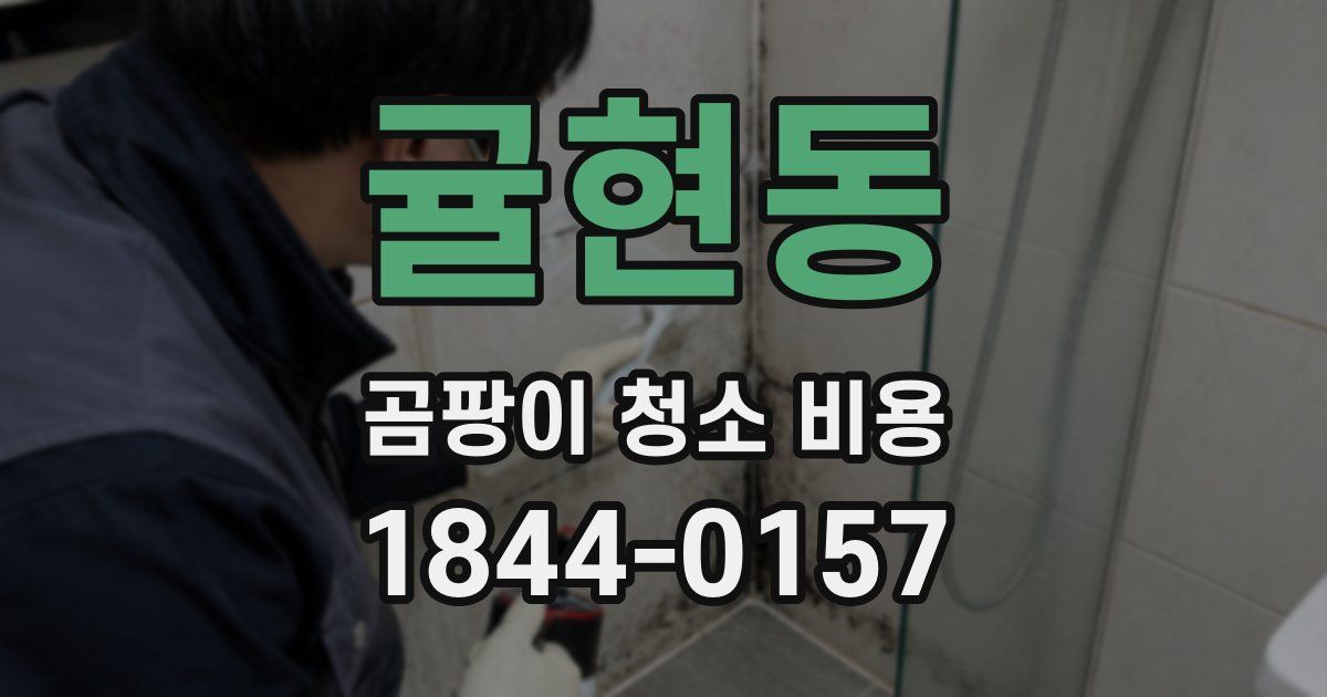 귤현동 곰팡이 청소 비용