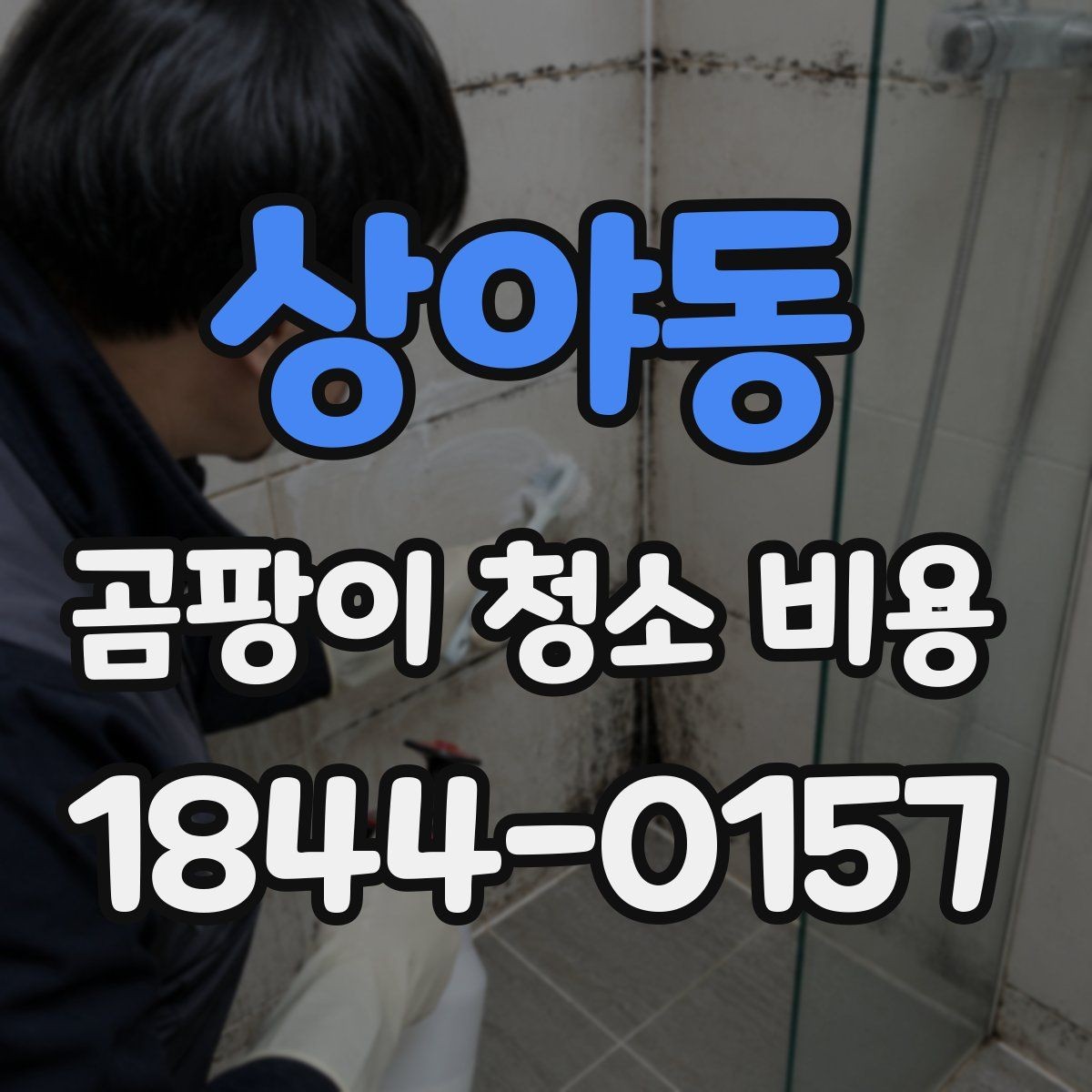 상야동 곰팡이 청소 비용 약품 처리와 인건비는 어떻게 나뉠까