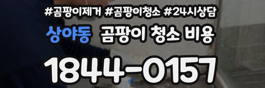 상야동 곰팡이 청소 비용