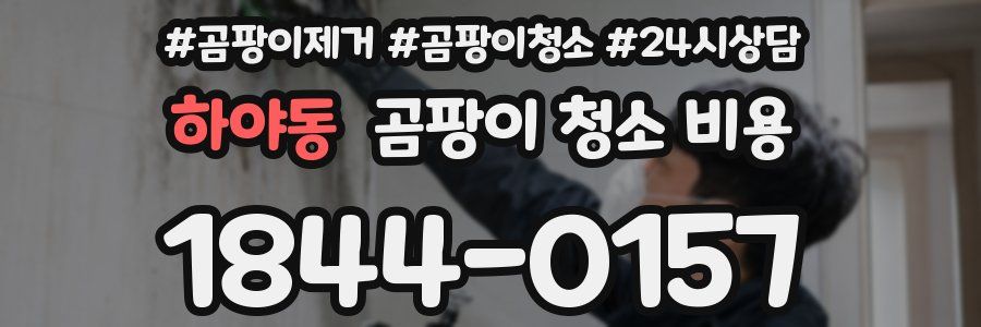 하야동 곰팡이 청소 비용