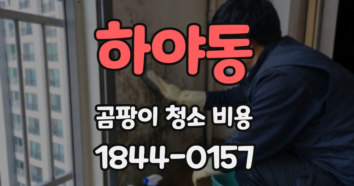 하야동 곰팡이 청소 비용