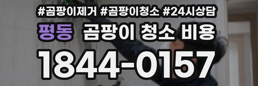 평동 곰팡이 청소 비용
