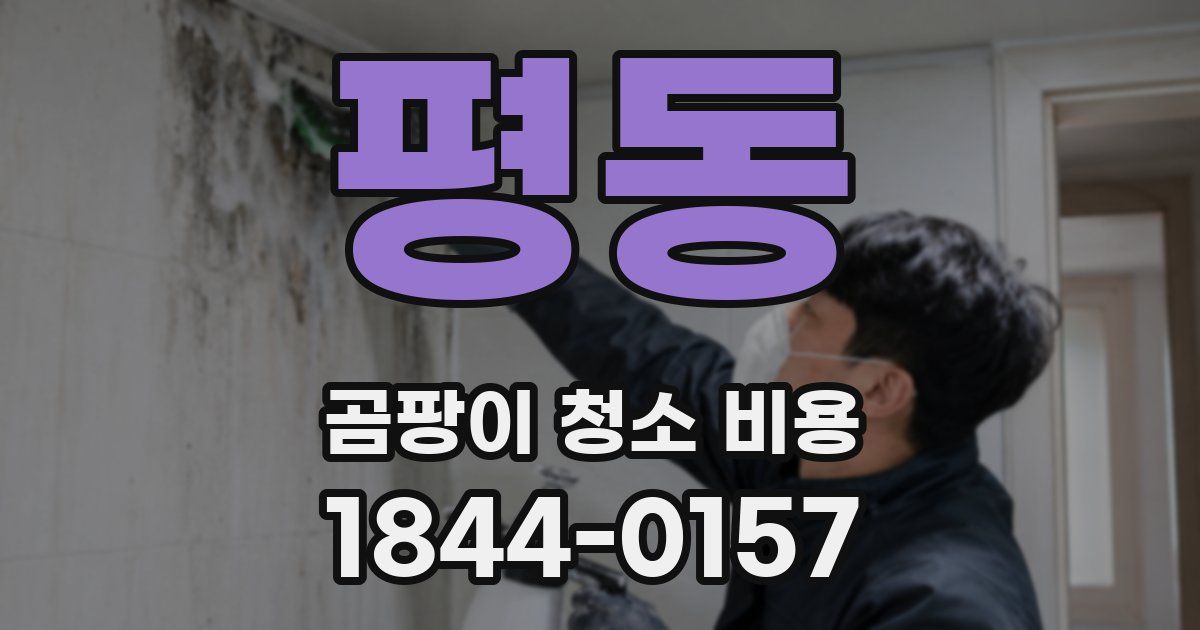 평동 곰팡이 청소 비용