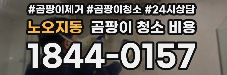 노오지동 곰팡이 청소 비용