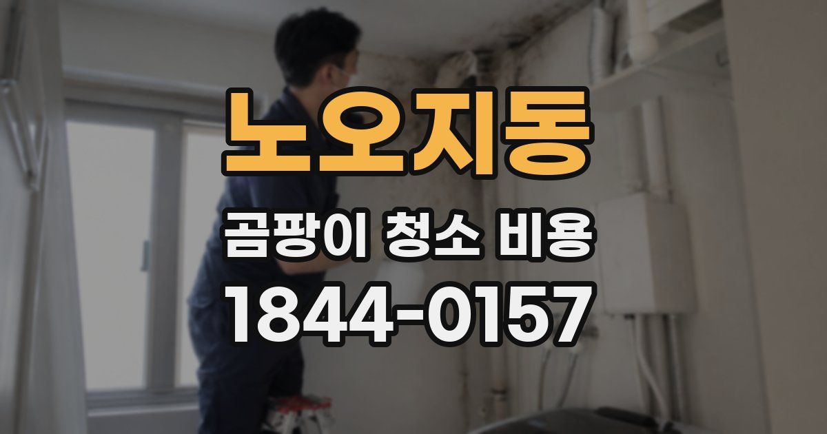 노오지동 곰팡이 청소 비용