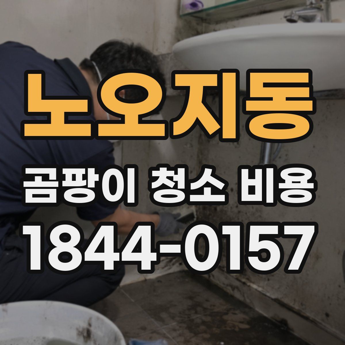 노오지동 곰팡이 청소 비용