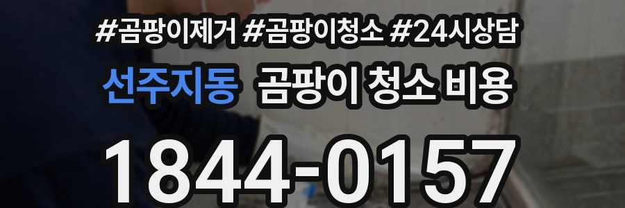 선주지동 곰팡이 청소 비용