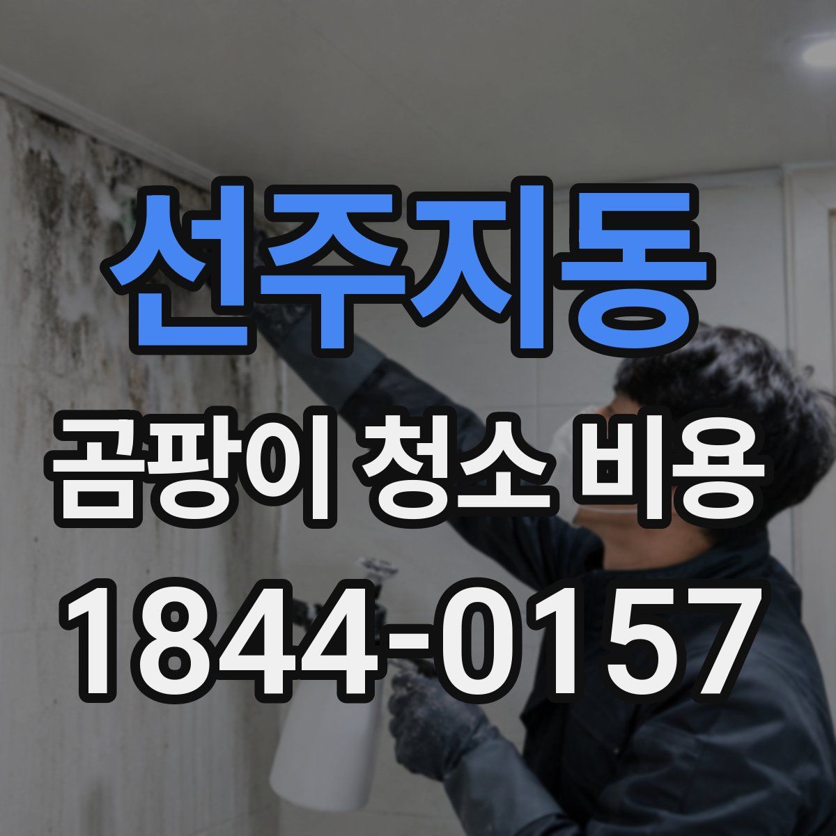 선주지동 곰팡이 청소 비용