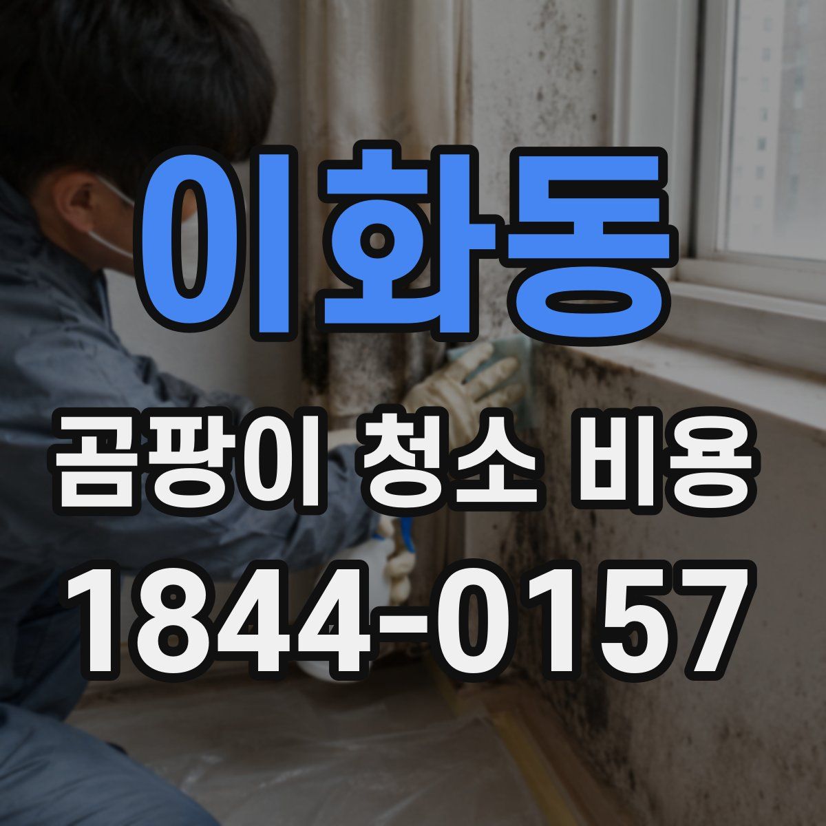 이화동 곰팡이 청소 비용