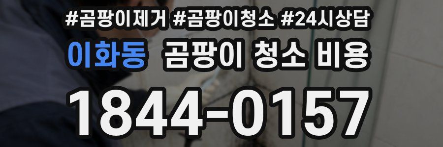 이화동 곰팡이 청소 비용