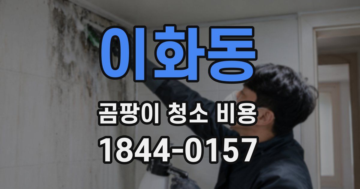 이화동 곰팡이 청소 비용