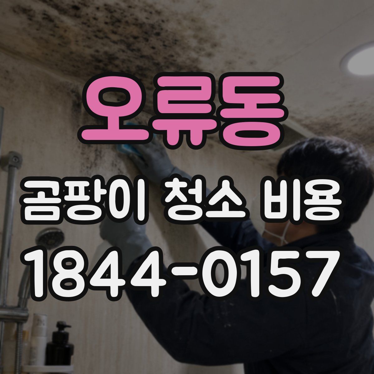 오류동 곰팡이 청소 비용
