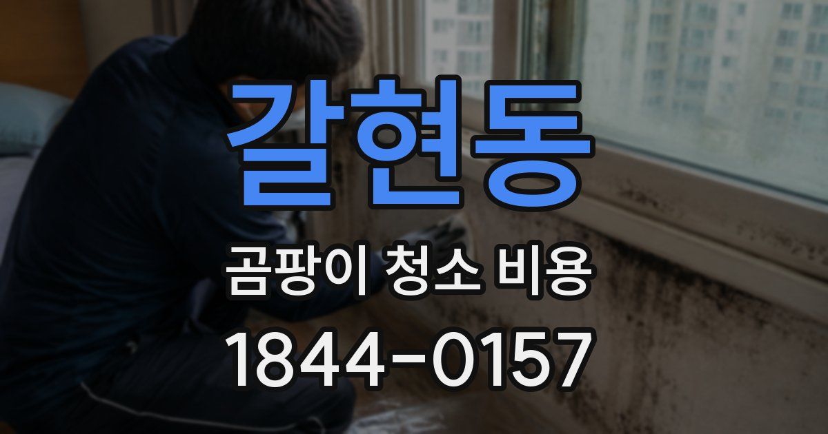 갈현동 곰팡이 청소 비용