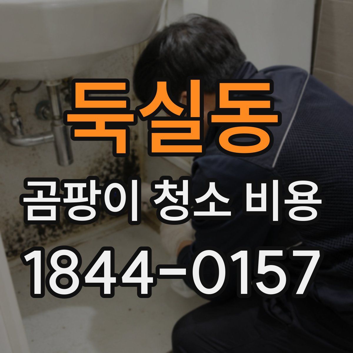둑실동 곰팡이 청소 비용