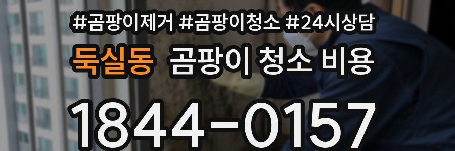 둑실동 곰팡이 청소 비용