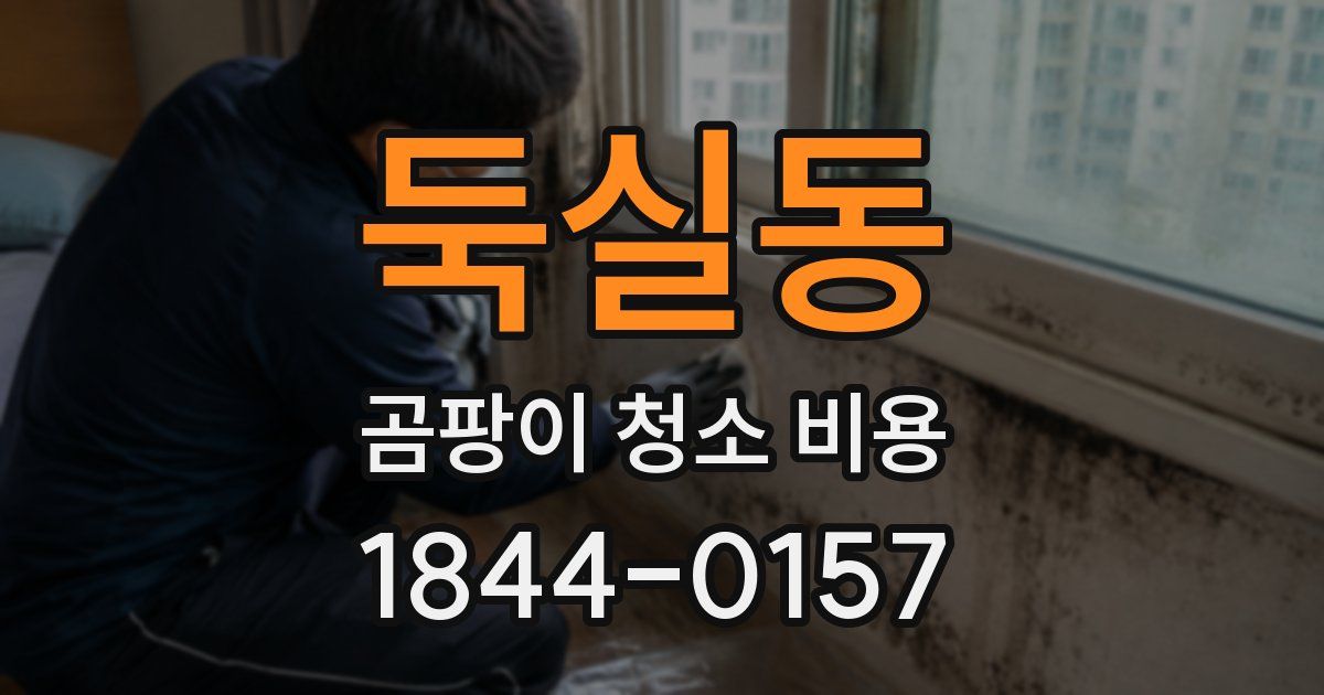 둑실동 곰팡이 청소 비용