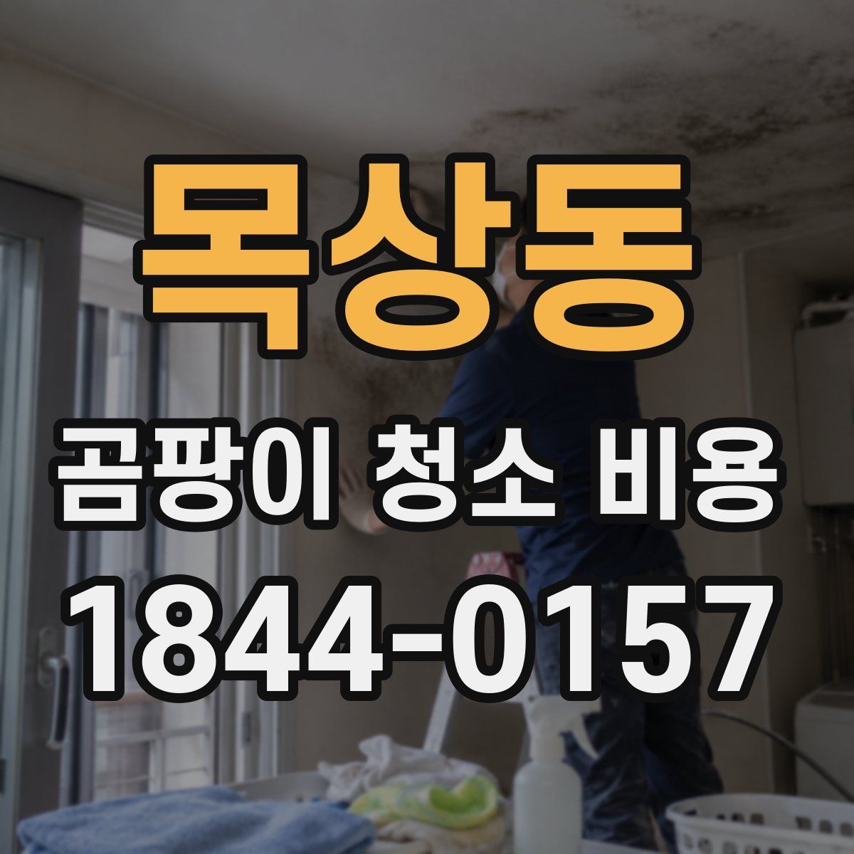목상동 곰팡이 청소 비용