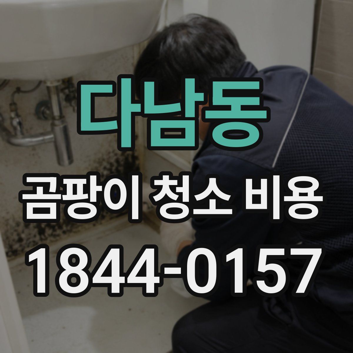 다남동 곰팡이 청소 비용
