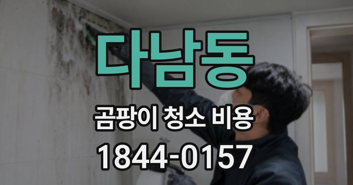다남동 곰팡이 청소 비용