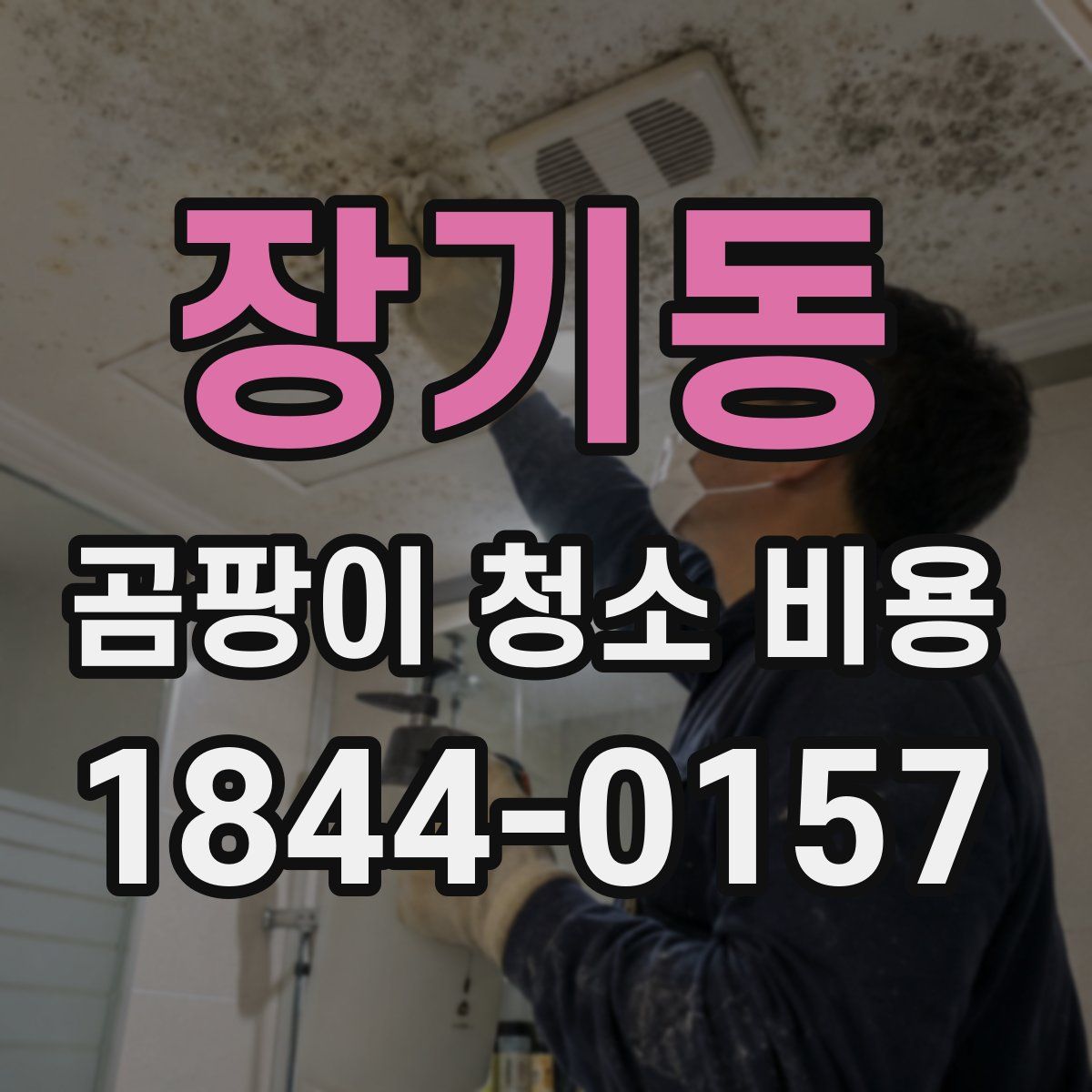 장기동 곰팡이 청소 비용