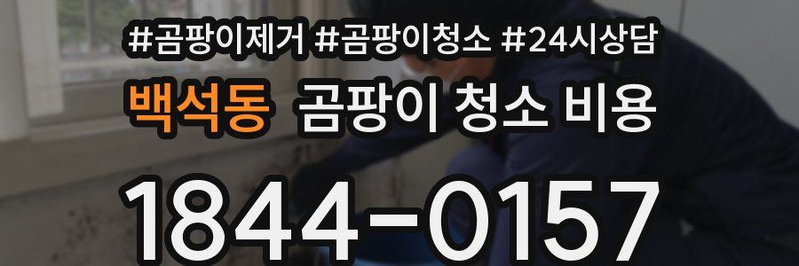 백석동 곰팡이 청소 비용