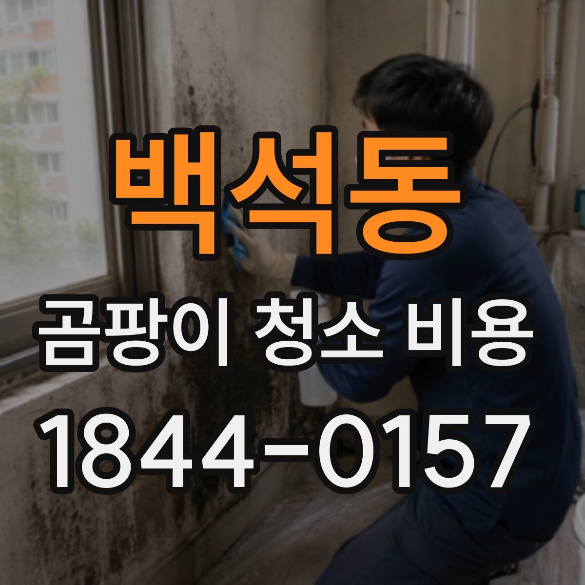 백석동 곰팡이 청소 비용