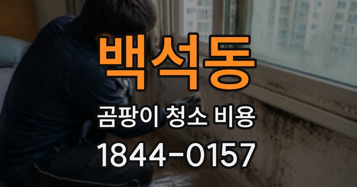 백석동 곰팡이 청소 비용