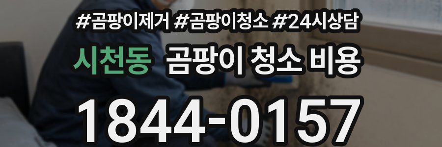 시천동 곰팡이 청소 비용
