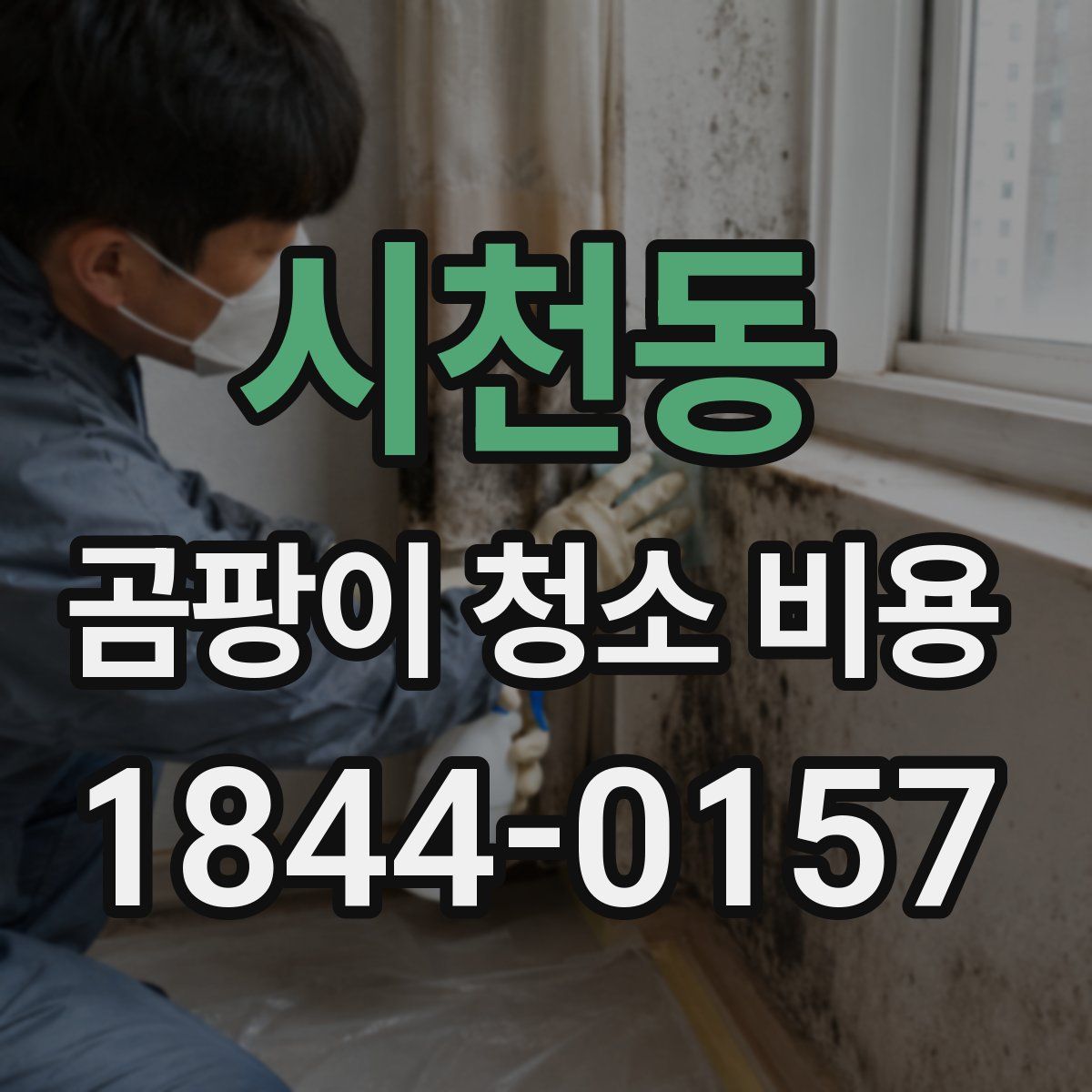 시천동 곰팡이 청소 비용