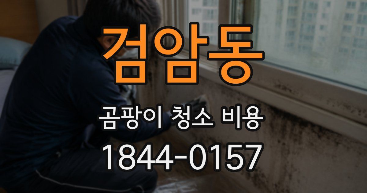 검암동 곰팡이 청소 비용