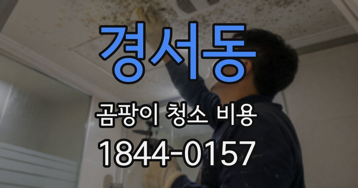 경서동 곰팡이 청소 비용