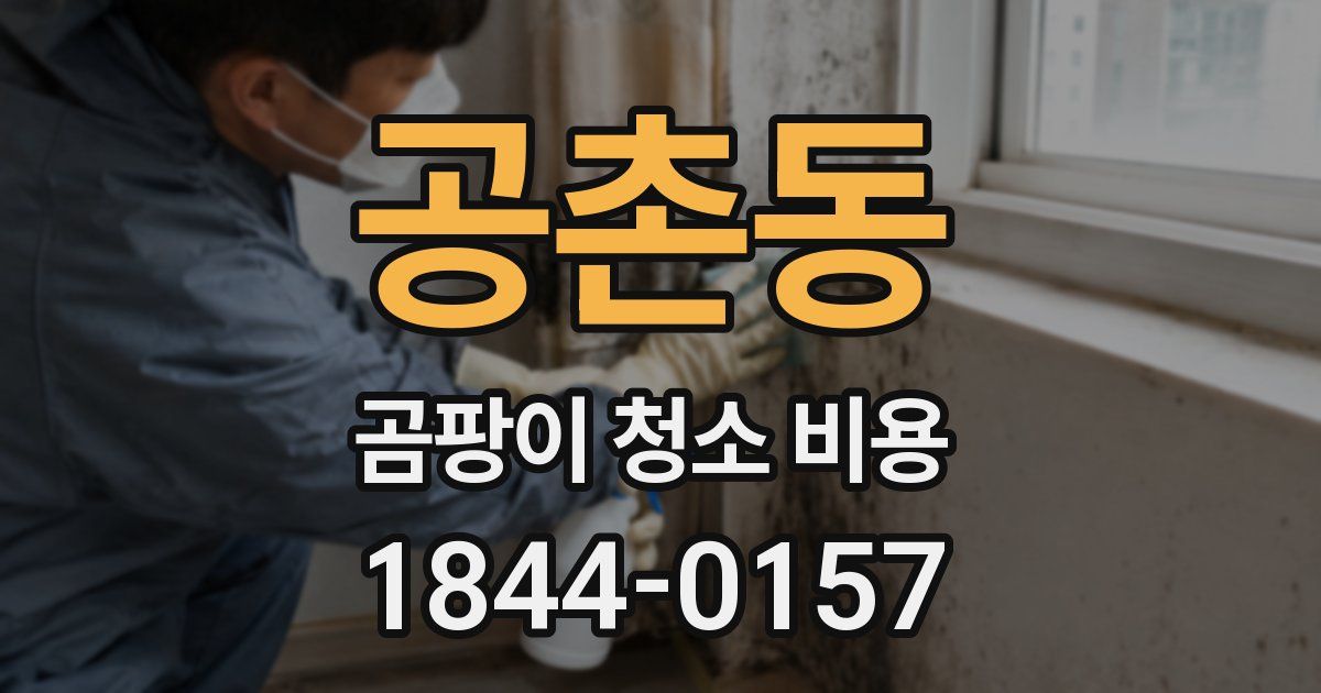 공촌동 곰팡이 청소 비용