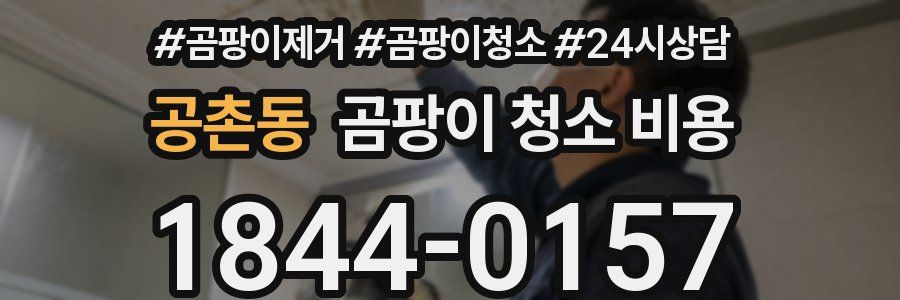 공촌동 곰팡이 청소 비용