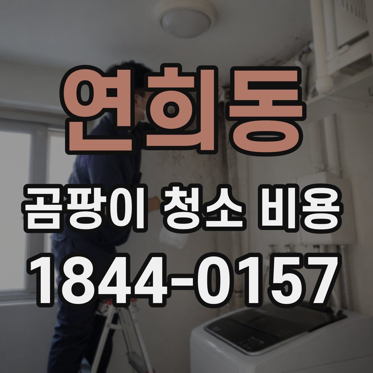 연희동 곰팡이 청소 비용