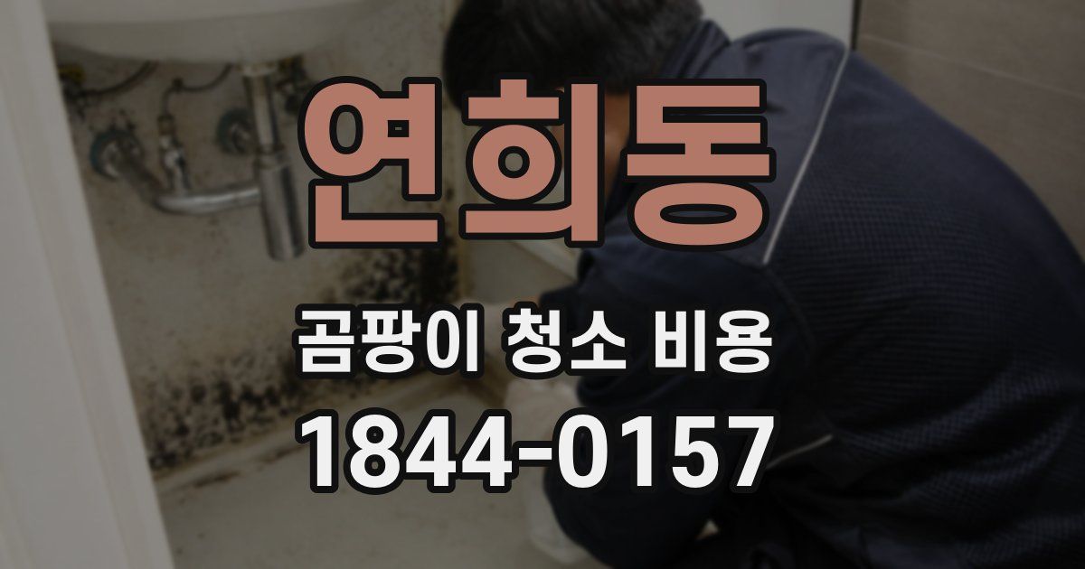 연희동 곰팡이 청소 비용