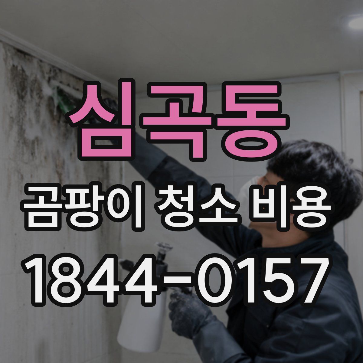 심곡동 곰팡이 청소 비용