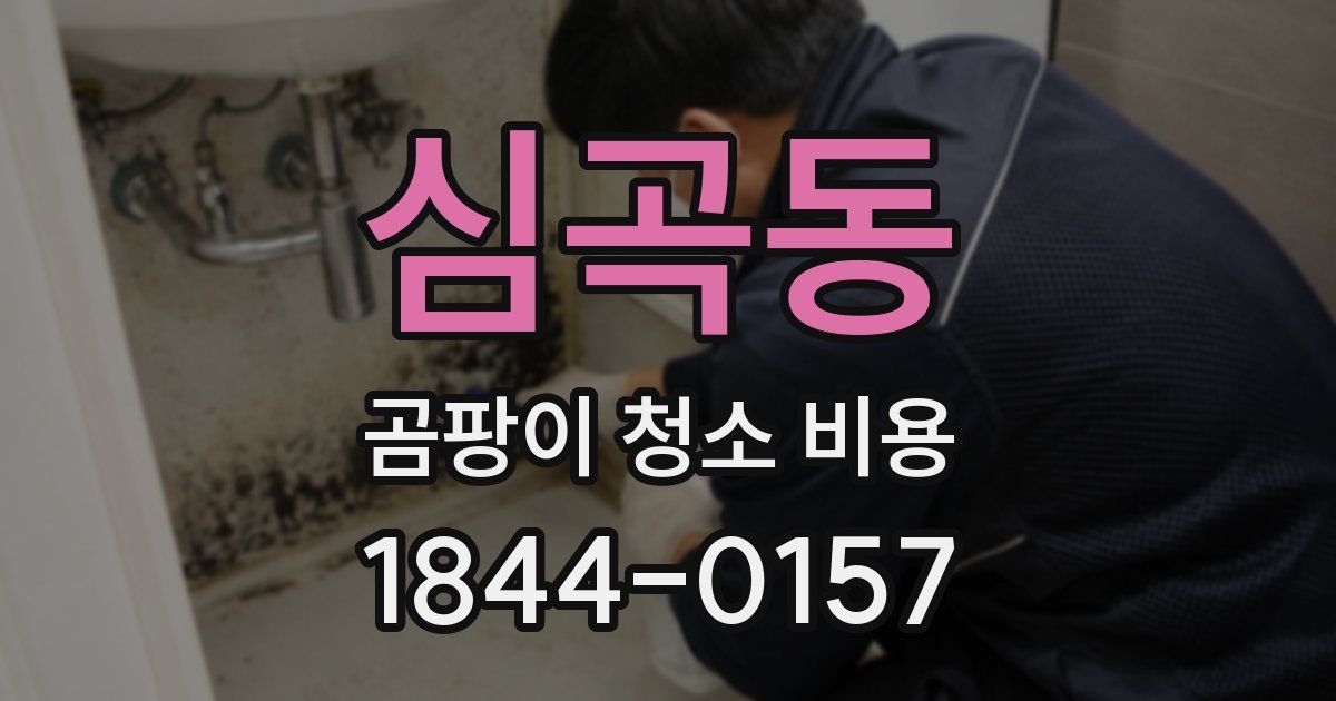 심곡동 곰팡이 청소 비용