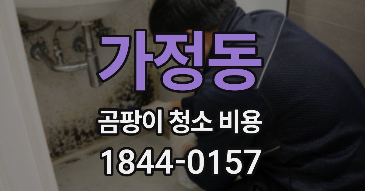 가정동 곰팡이 청소 비용