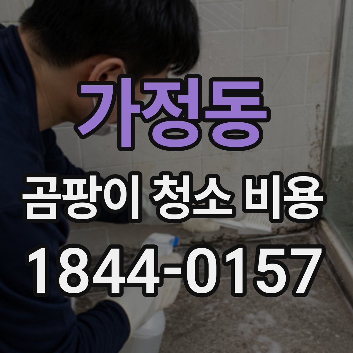 가정동 곰팡이 청소 비용